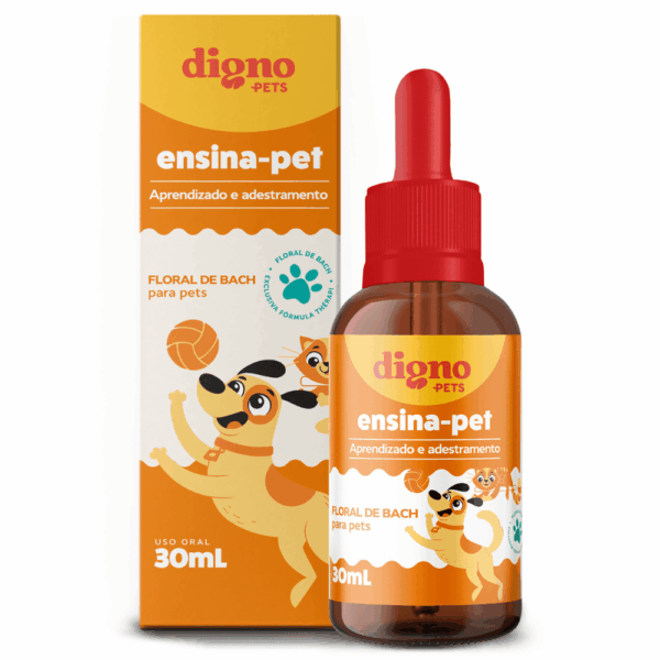 Floral Digno Pets ensina pet | Aprendizado e Adestramento